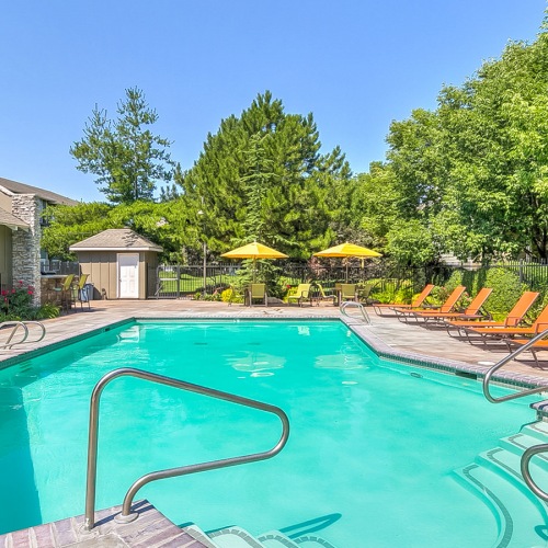 pool with lounge chairs